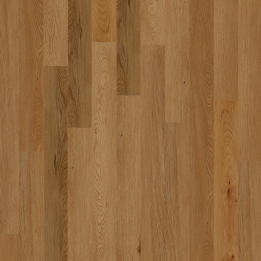 Nutmeg 4x48