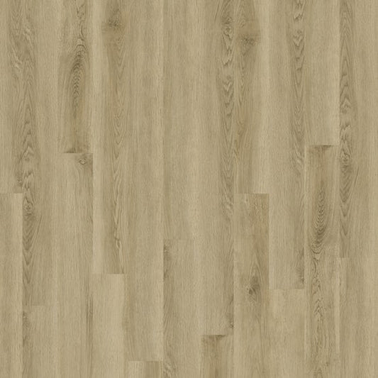 Summer Oak 4x48