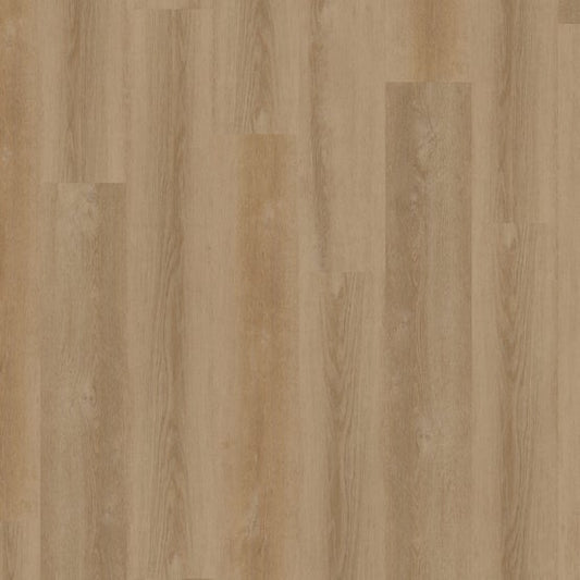 Taupe 9x60