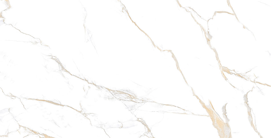 Calcatta Gold 24x48