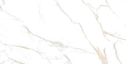 Calcatta Gold 24x48