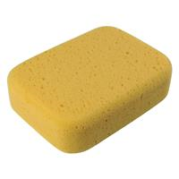 Superior Sponge