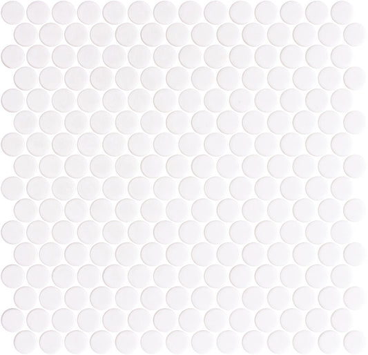 Shiny White Penny 11x11