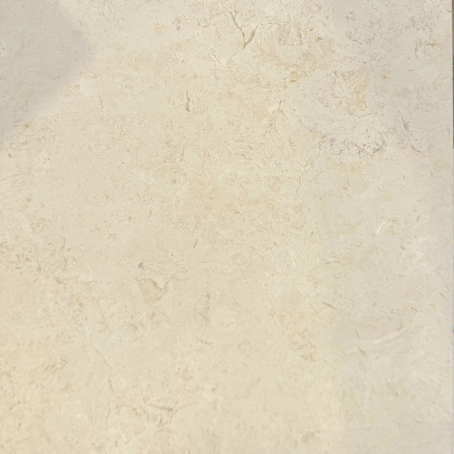 Jerusalem Bone 16x16