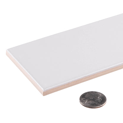 Kessel Mauro 3x12 Subway Tile