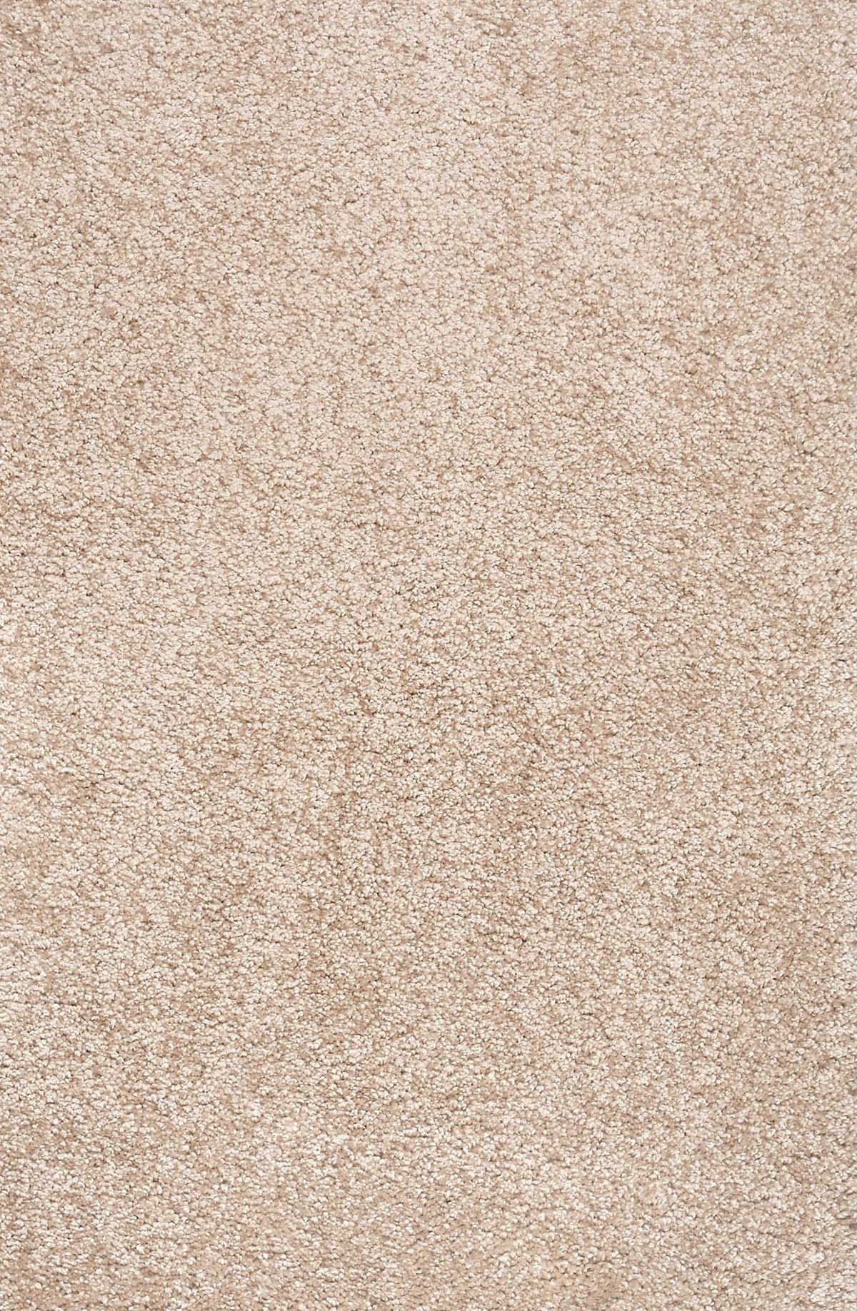 Latte 81oz carpet