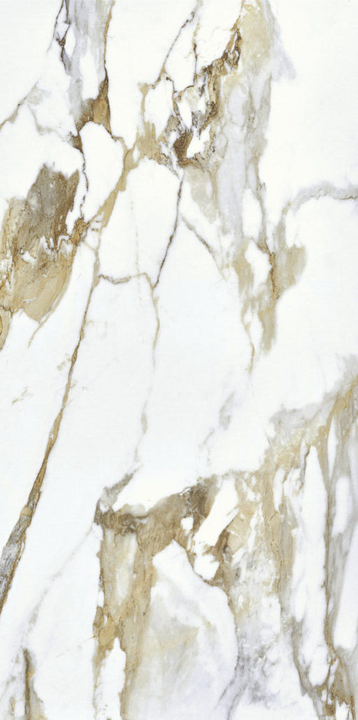 Macchia Antica 24x48 Matte