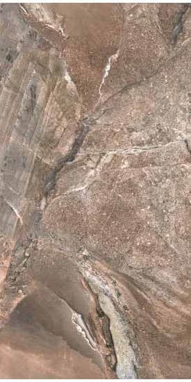 Mineral Umber 12x24 Polished