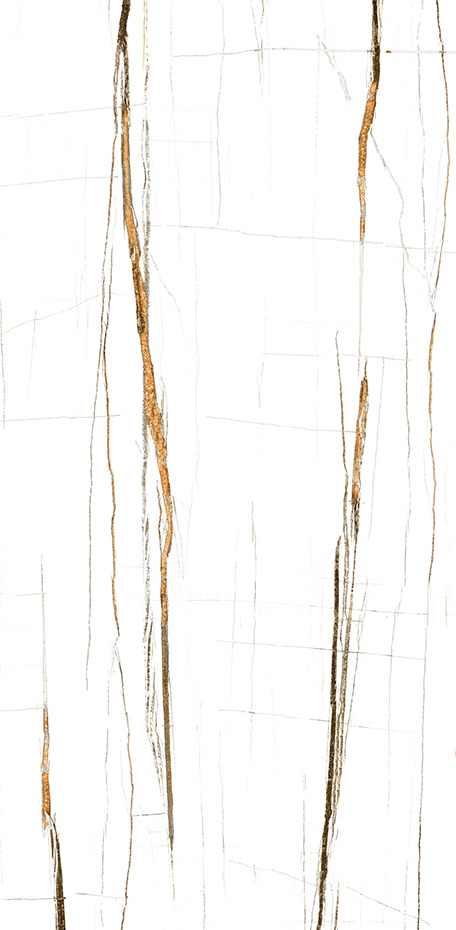 Noir Gold 24x48 Polished