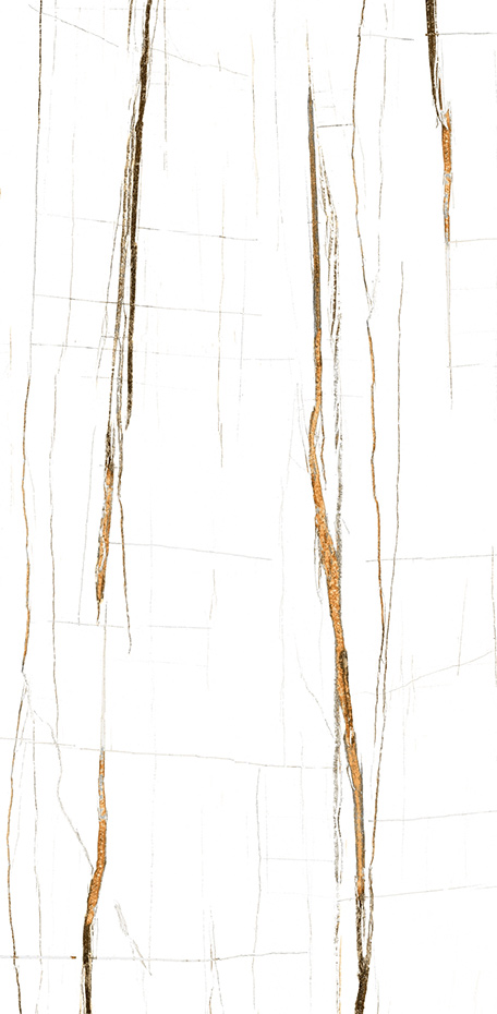 Noir Gold 24x48 Special Effect