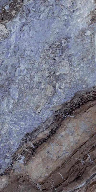 Close-up of a textured stone surface with a crack running through it.
