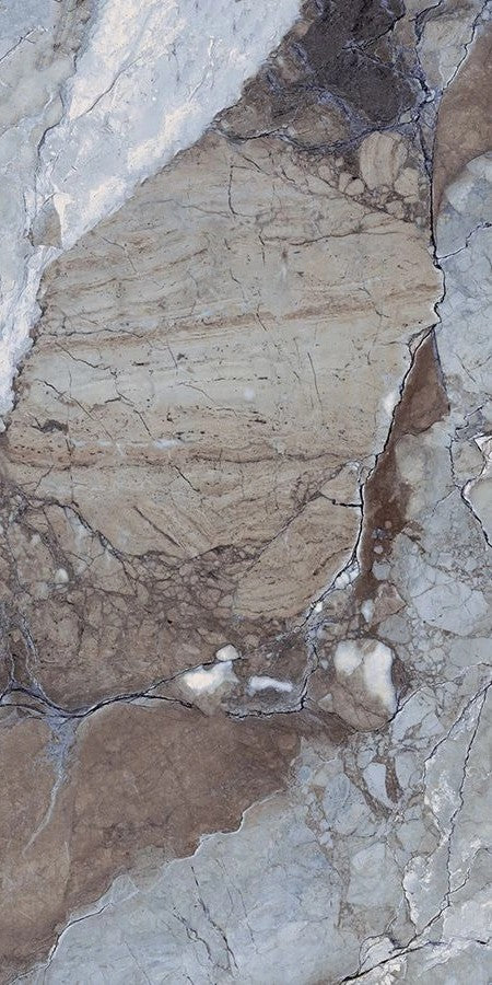 Close-up of a textured stone surface with varying shades of brown and gray.