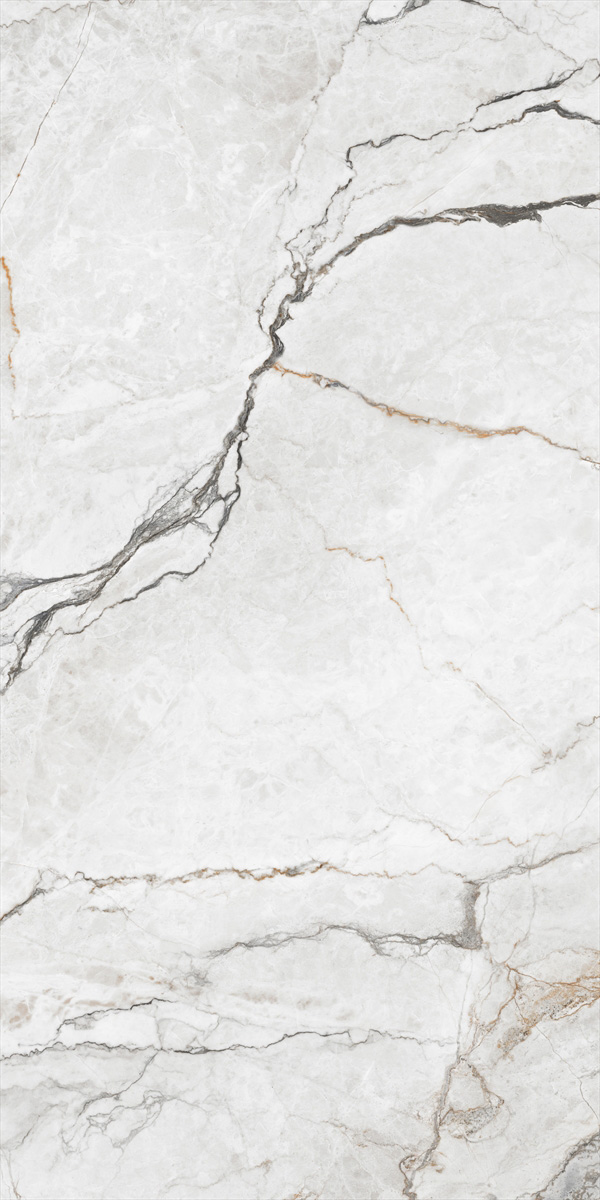 Orlando White 24x48 Polished