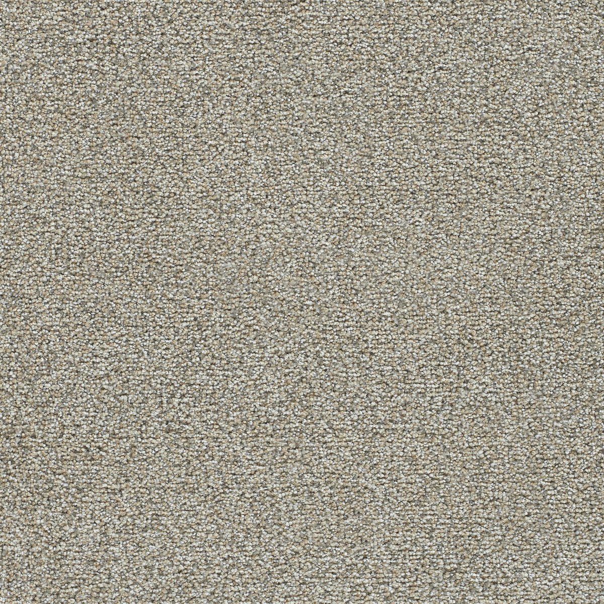 Quail Valley solution dyed cut pile carpet