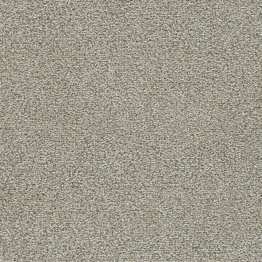 Quail Valley solution dyed cut pile carpet