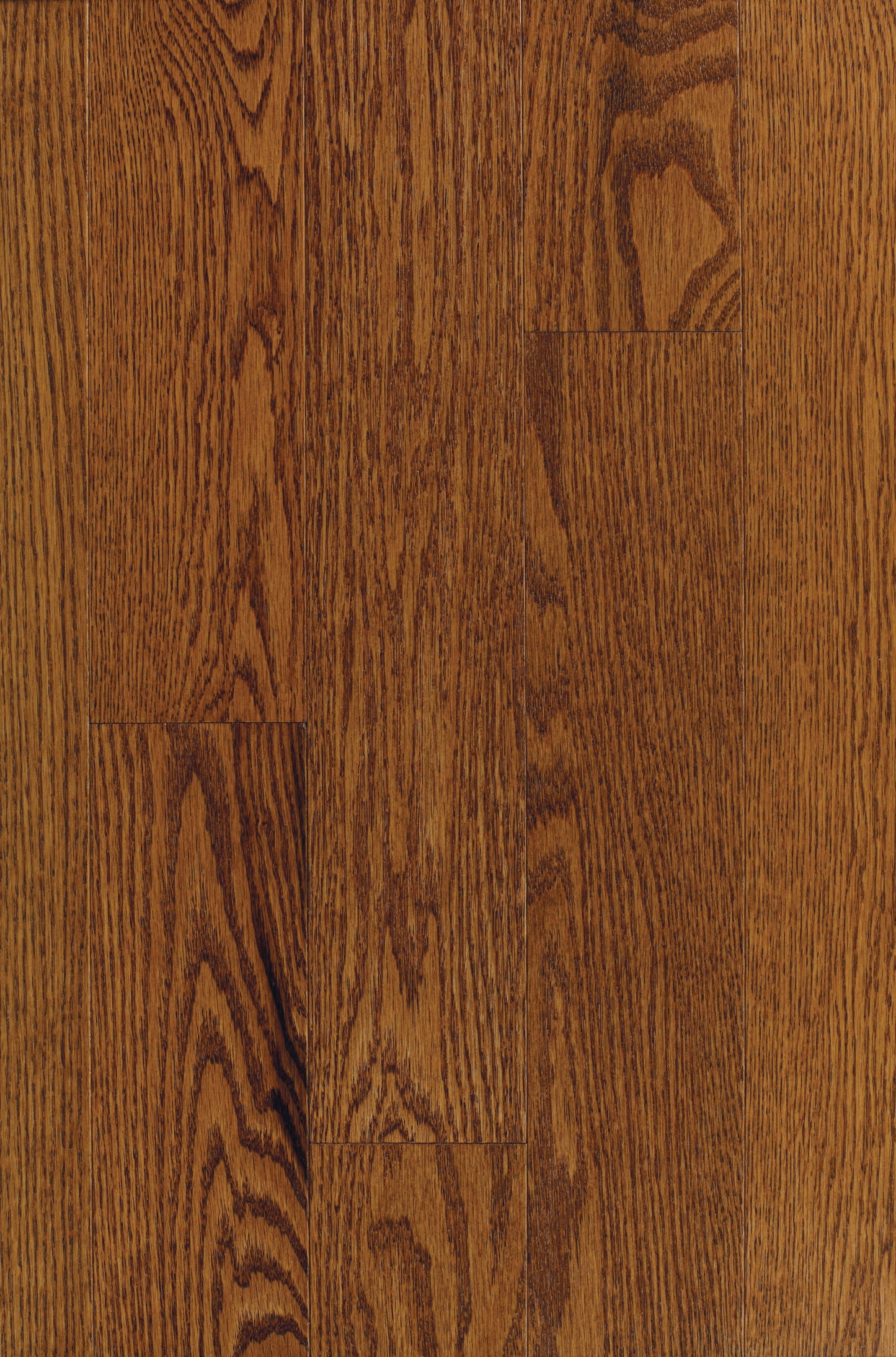 Red Oak Chestnut 3¼" Extreme