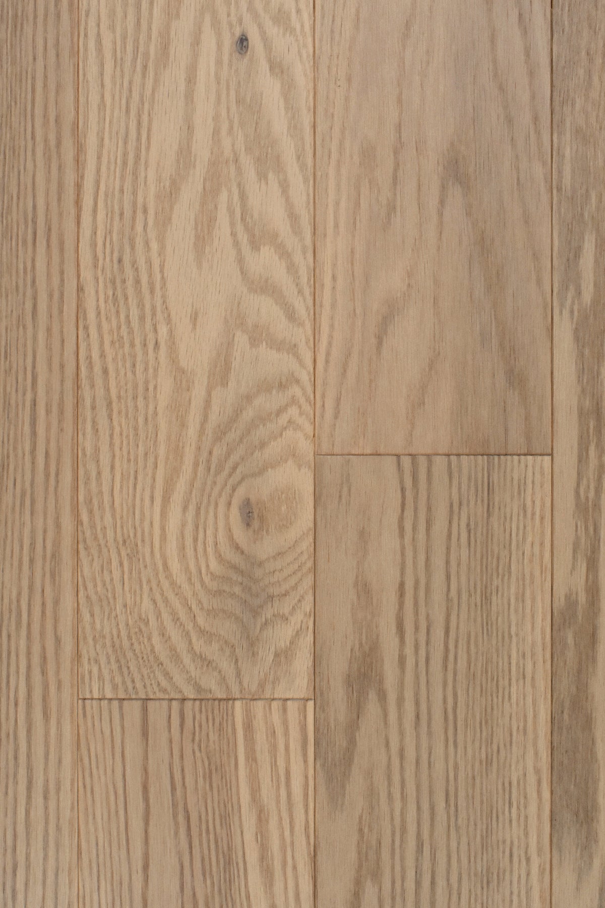 Red Oak Jeanine 6½" Engineered Matte