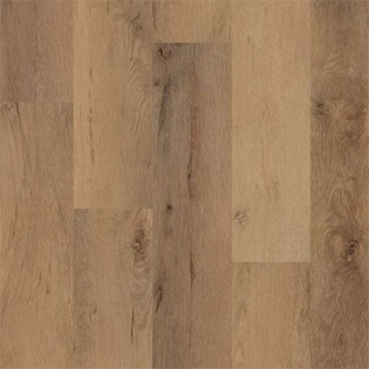 Camel Oak