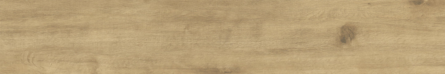Auburn 8x48