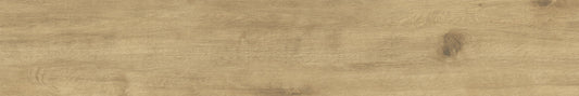 Auburn 8x48