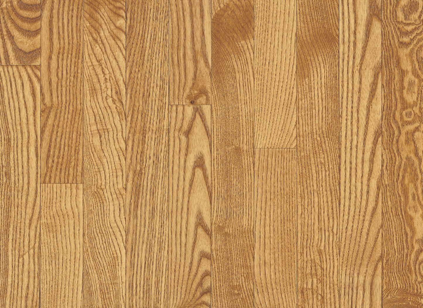 Seashell Oak 3¼"