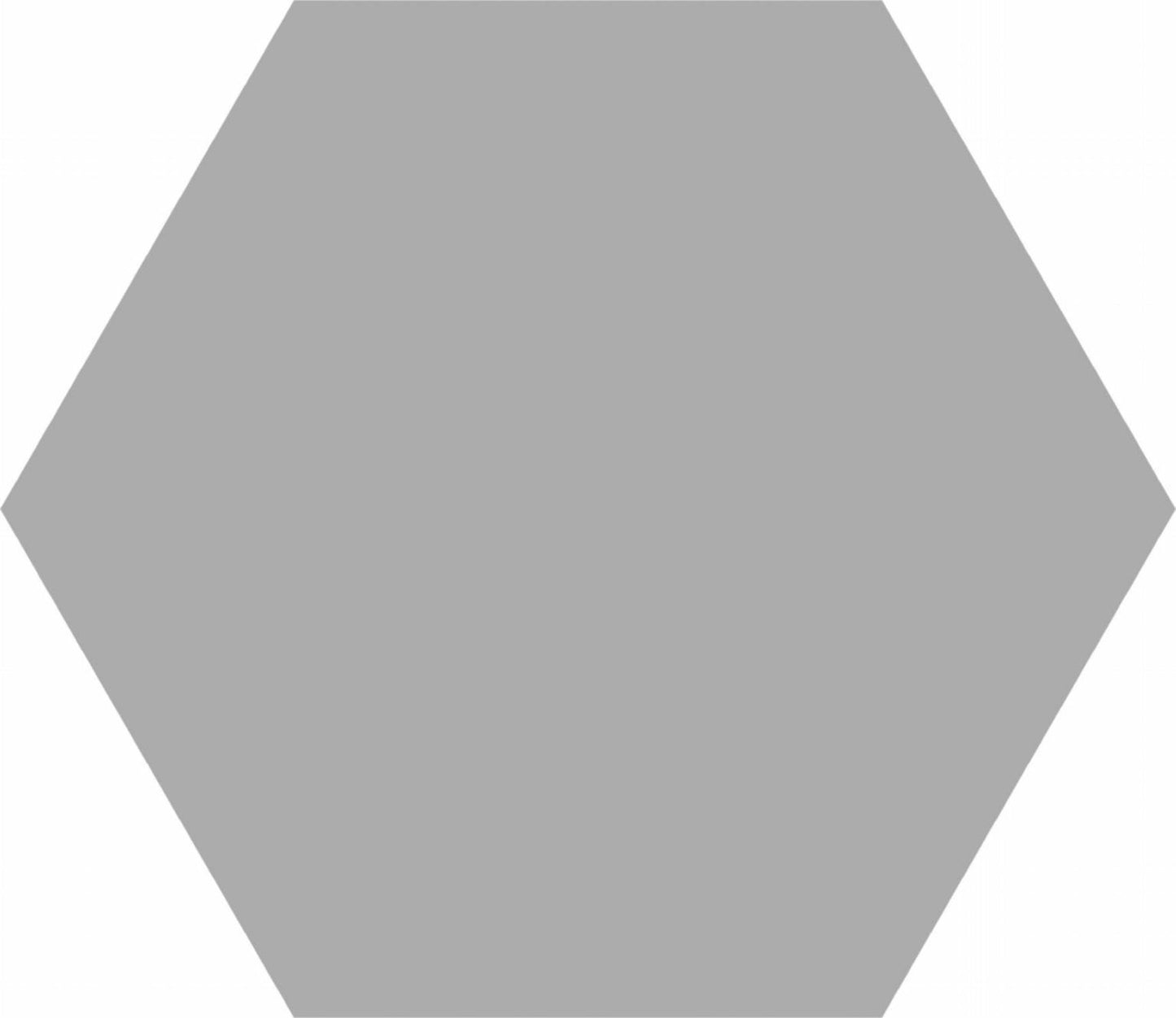 Silver Hexagon 8x10