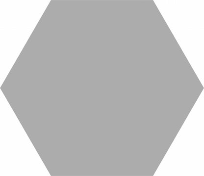 Silver Hexagon 8x10