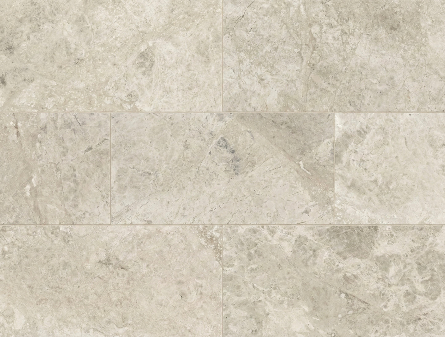 Silver Oyster 12x24 Honed