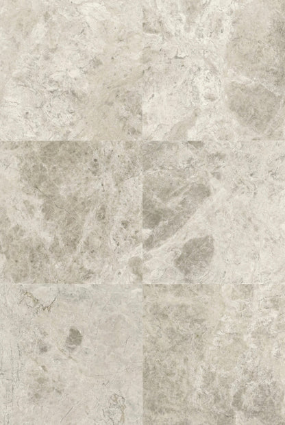 Silver Oyster 12x24 Honed