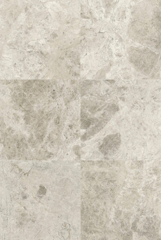 Silver Oyster 12x24 Honed