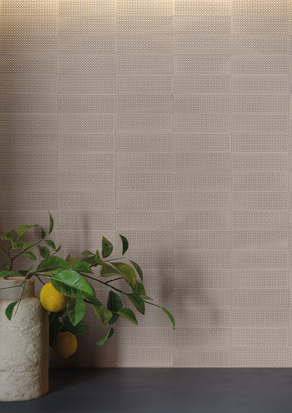 Skin Enchi 2x6 Brick Lattice