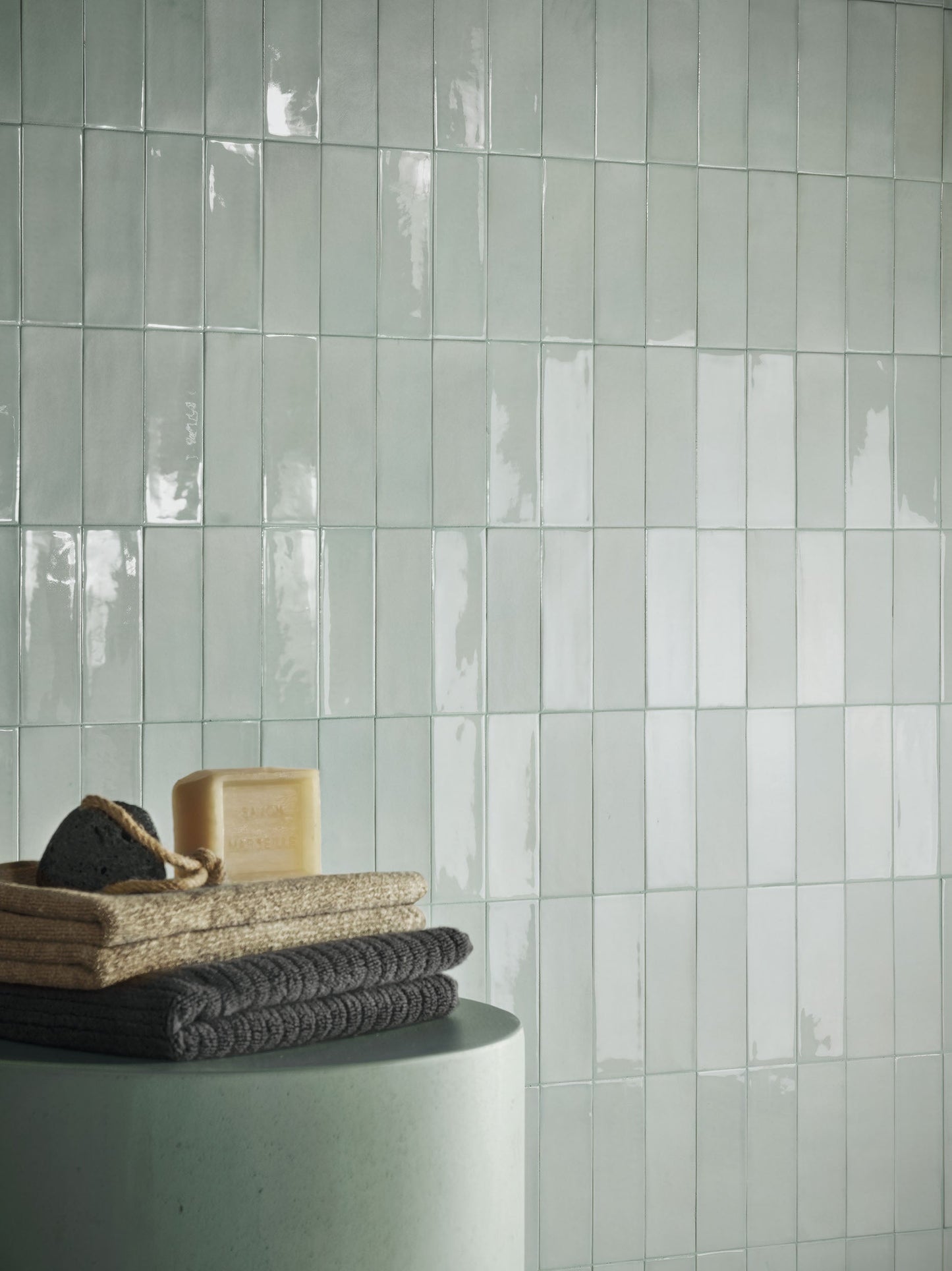 Anole 2x6 Brick Gloss