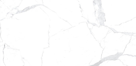 Statuario 24x48 Matte