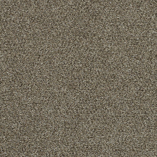 Tavern solution dyed cut pile carpet