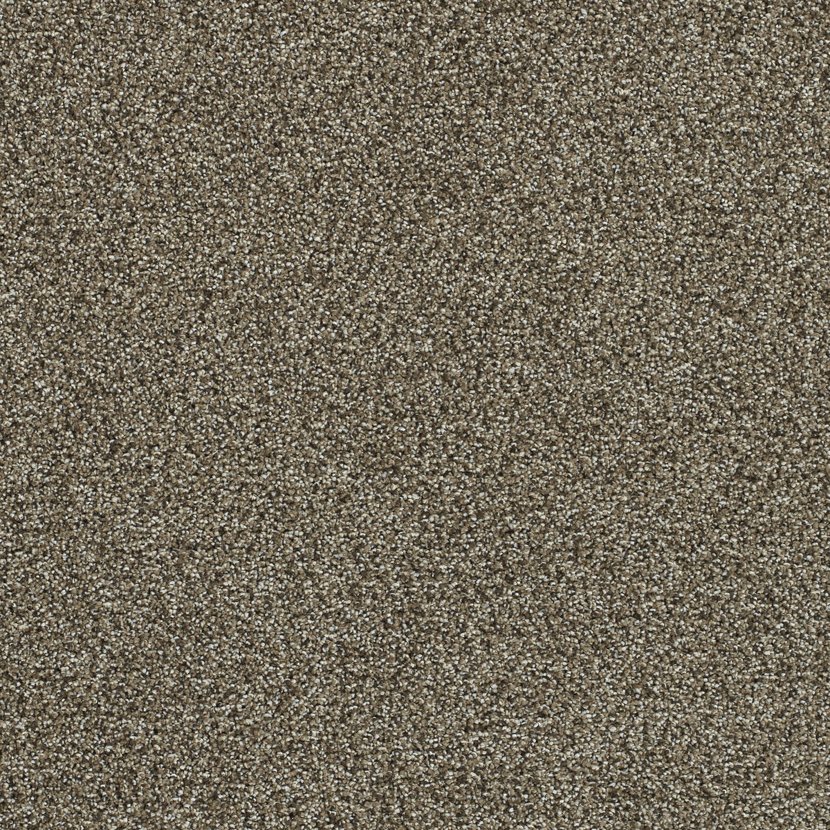 Tavern solution dyed cut pile carpet