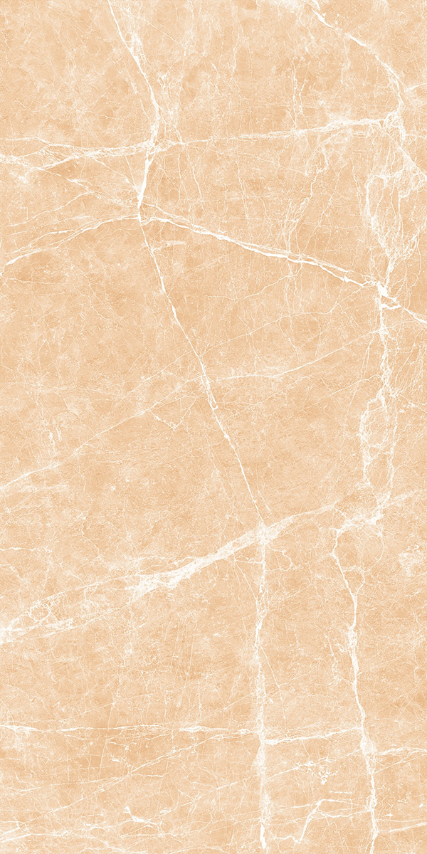 Terre Beige 24x48 Polished