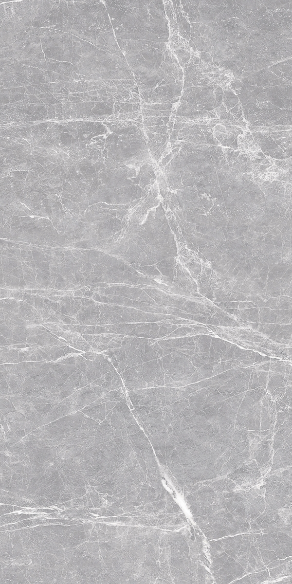 Terre Gray 24x48 Polished