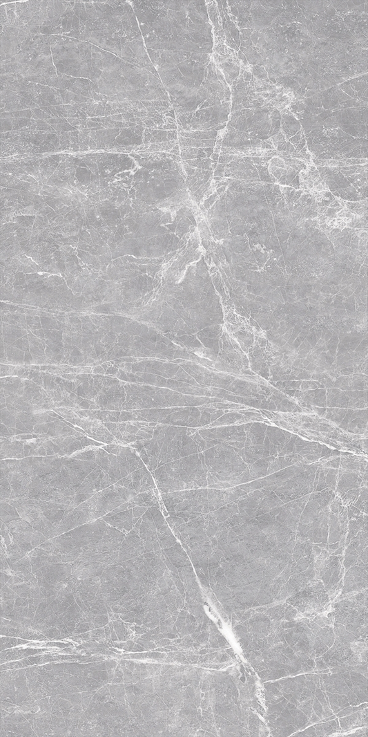 Terre Gray 24x48 Polished