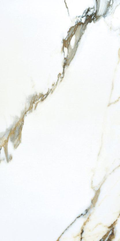 Tropical Breeze 12x24 Matte