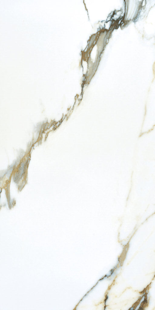 Tropical Breeze 12x24 Matte