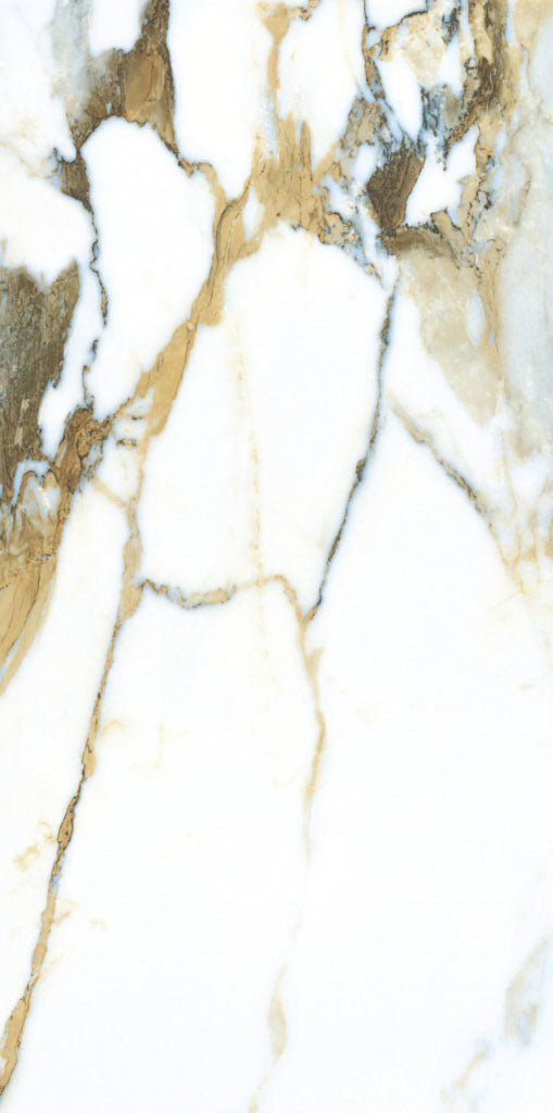 Tropical Breeze 12x24 Polished