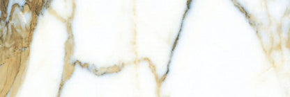 Tropical Breeze 4x12 Matte