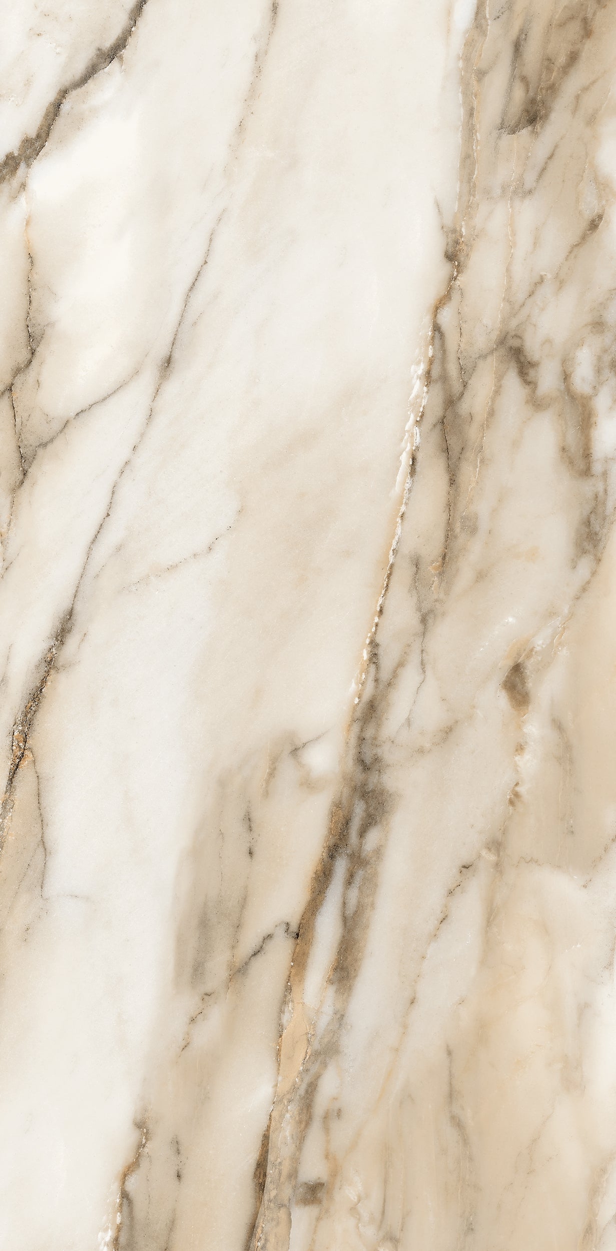 Vivace 12X24 Natural