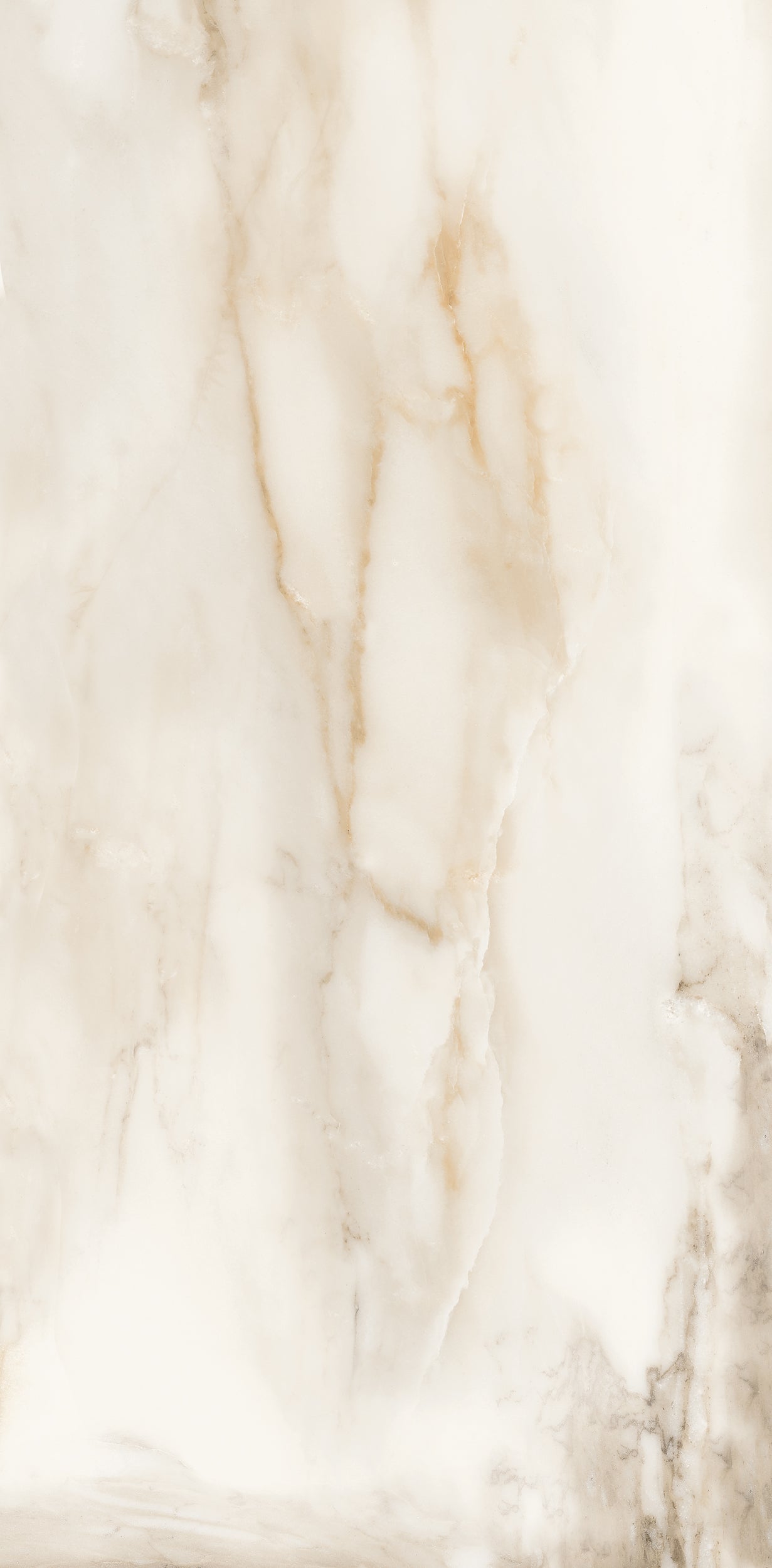 Vivace 12X24 Natural