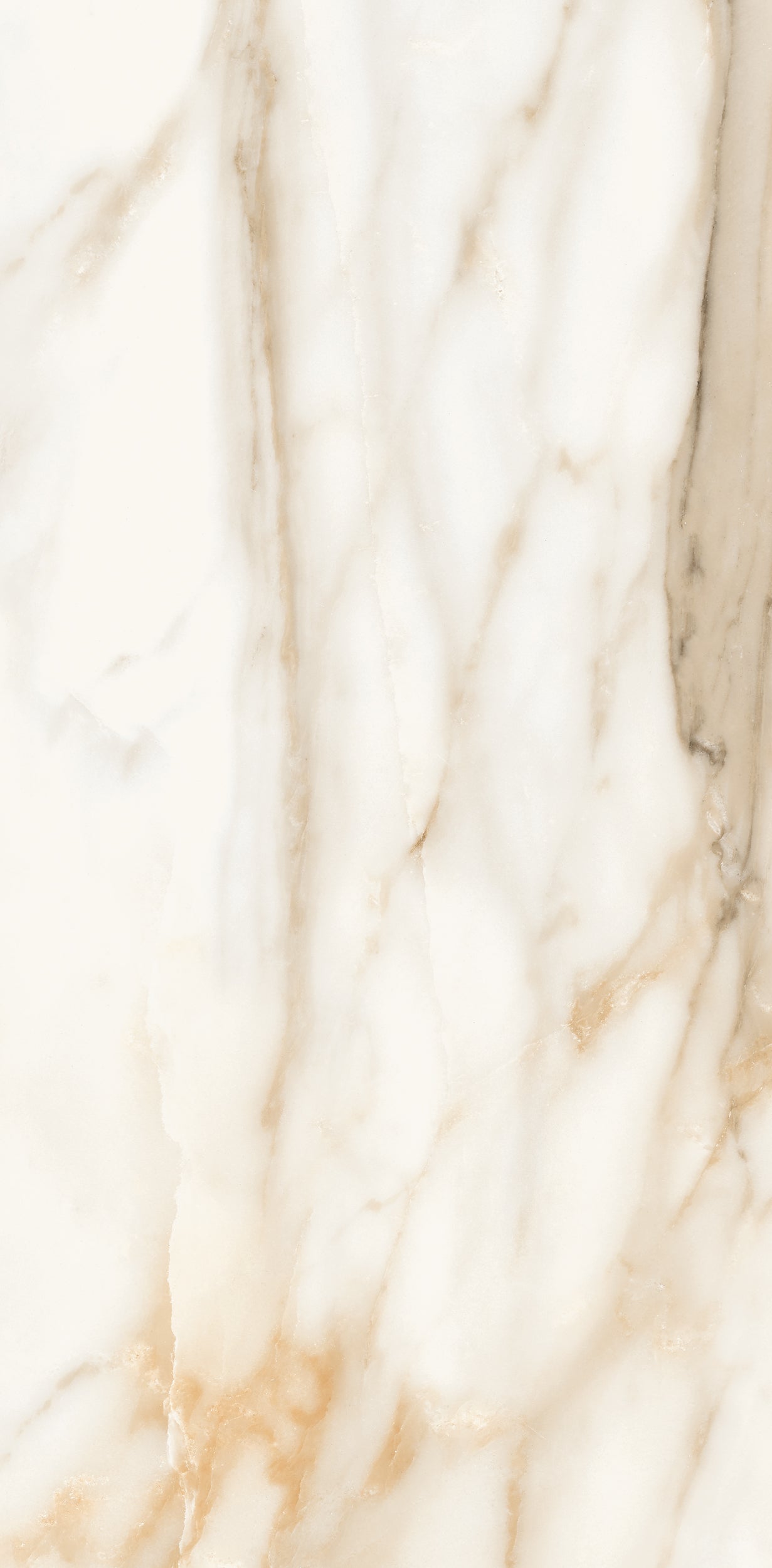 Vivace 12X24 Natural