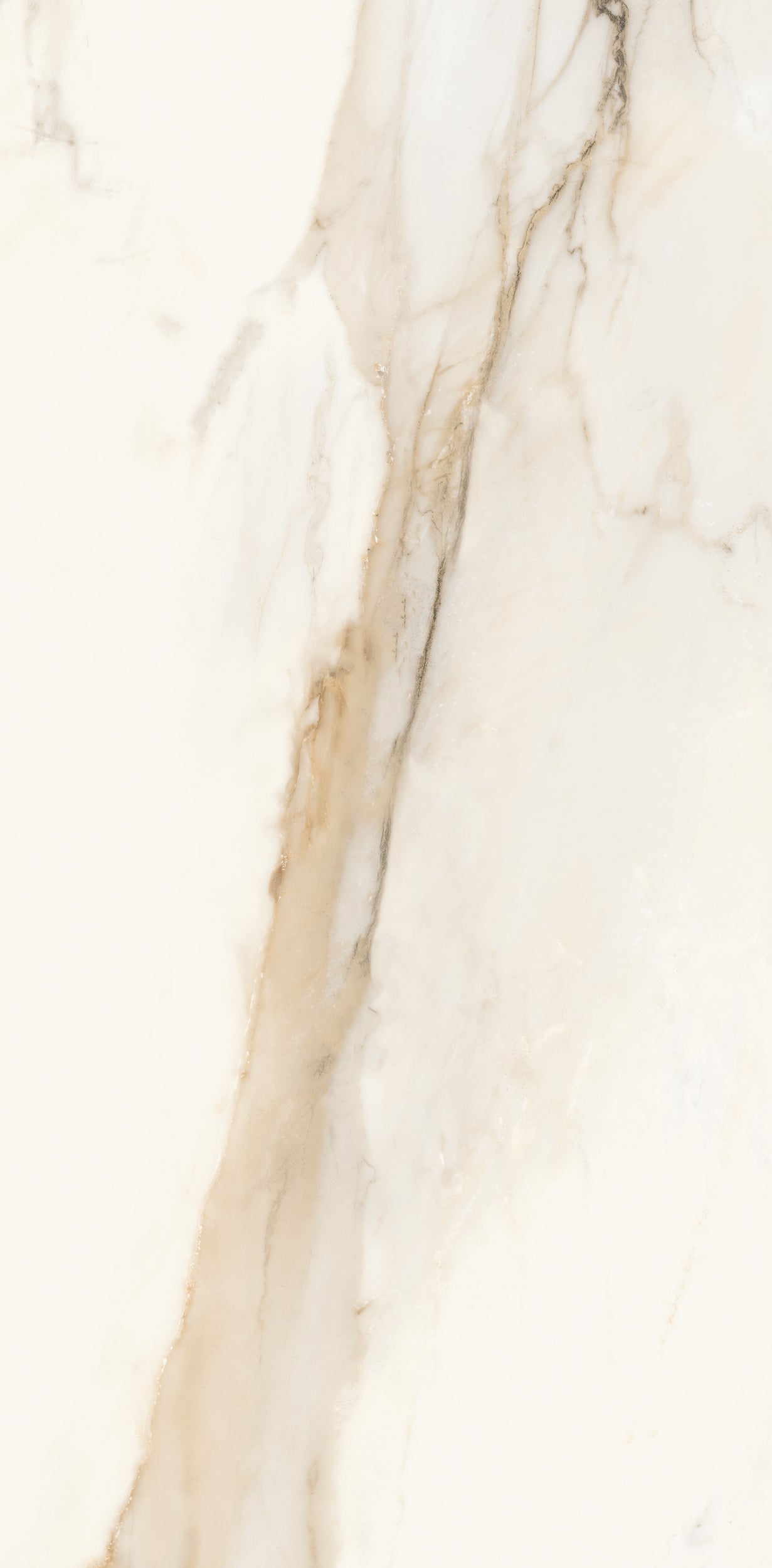 Vivace 12X24 Natural