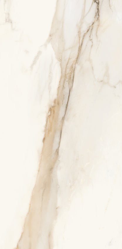 Vivace 12X24 Natural