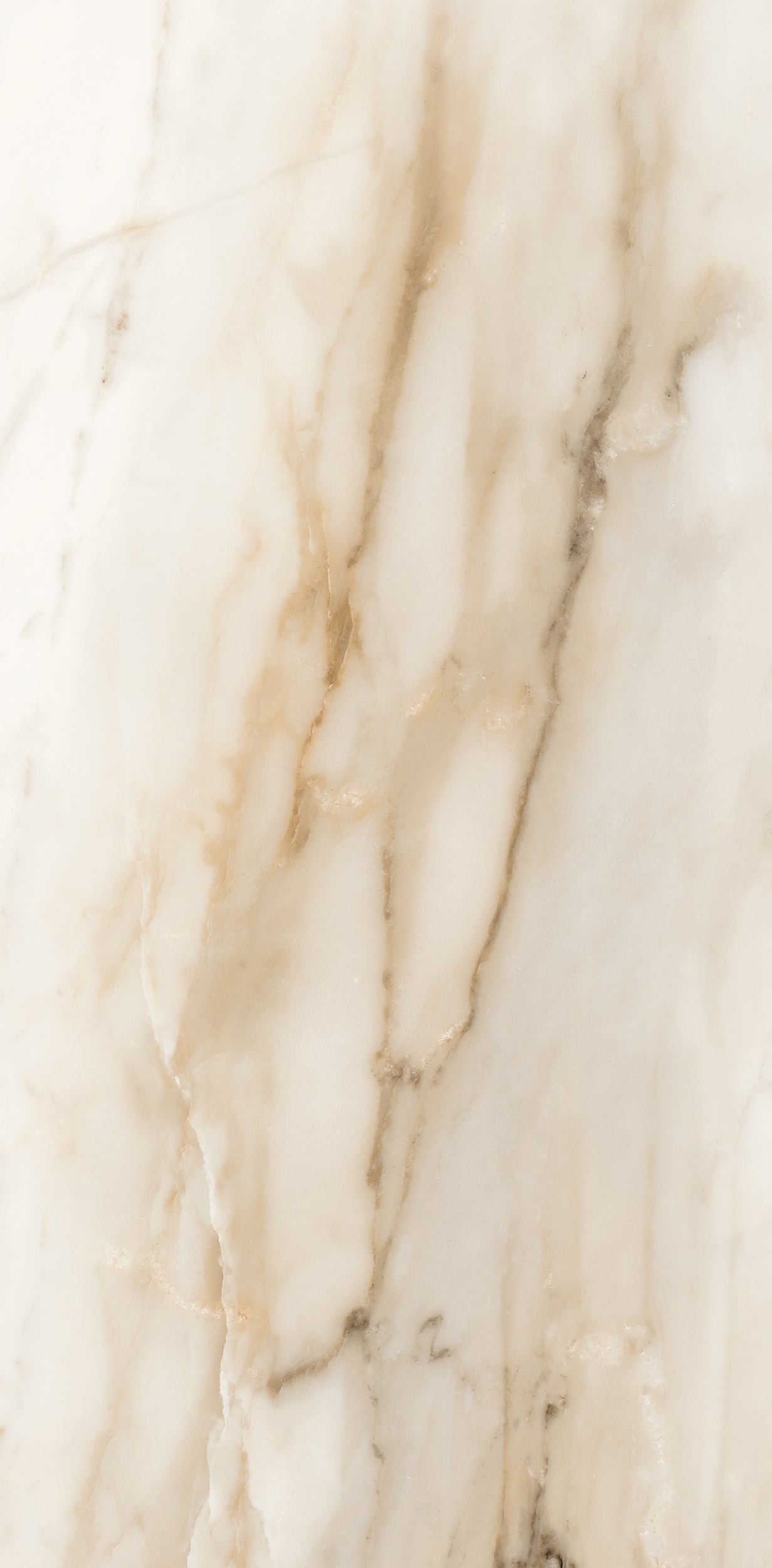 Vivace 12X24 Natural