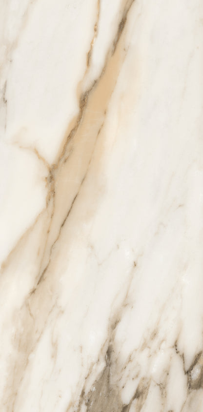 Vivace 12X24 Natural