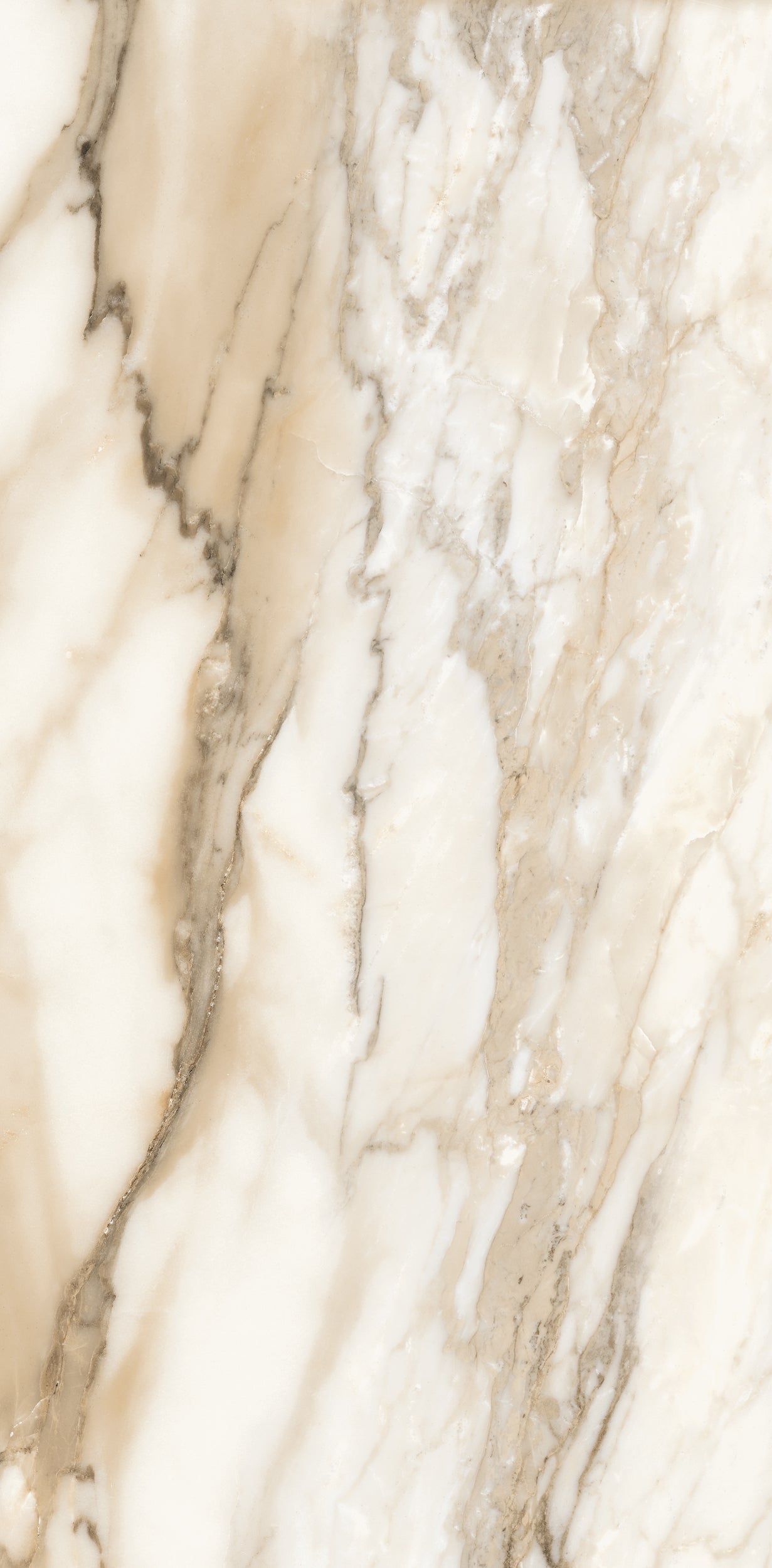 Vivace 12X24 Natural